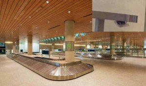 Physical Security in Airports