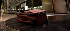 Other Bag Drop Solutions Providers